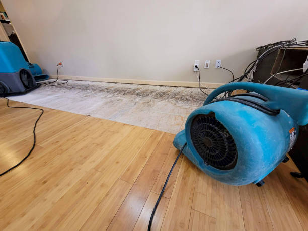 Professional Structural Drying technician working in Glorieta, NM